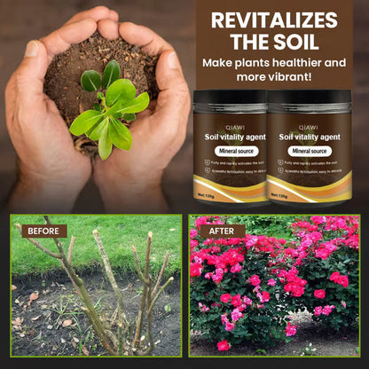 🔥Last Day 70% OFF-🌱Soil Vitality Agent-You Will Be Amazed!